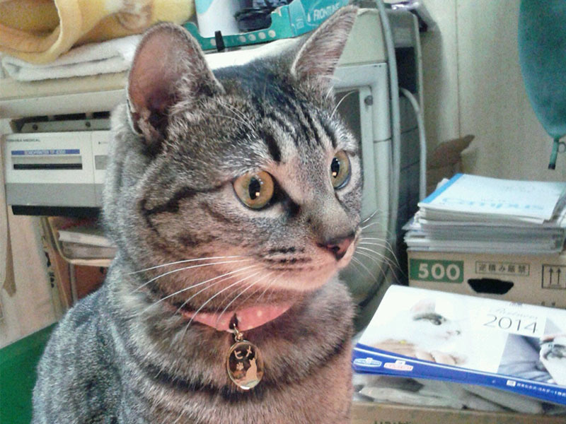 img20161009145220158376.jpg